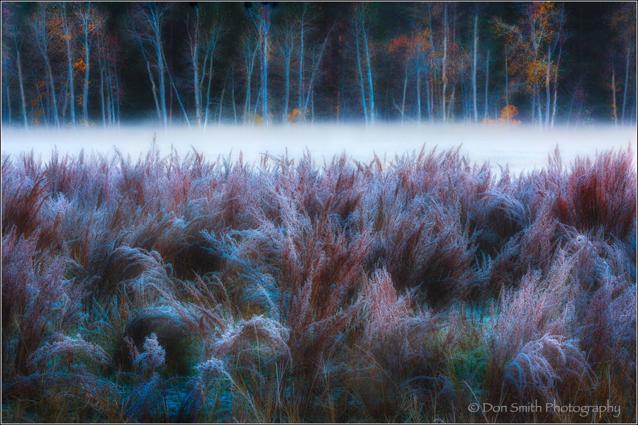 for-the-ones-who-wander-quietly